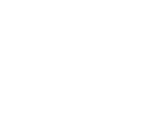 HUT RI ke-81
